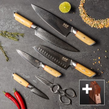 Gudaro - Juego de 5 cuchillos de cocina HIKARI de acero Damasco + soporte para cuchillos y tijeras para aves