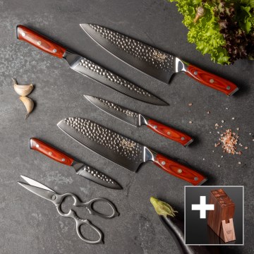 Gudaro - Juego de 5 cuchillos de cocina MIYABI de acero Damasco + soporte para cuchillos y tijeras para aves