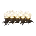Guirnalda decorativa LED para exteriores 10xLED/10m IP44 transparente