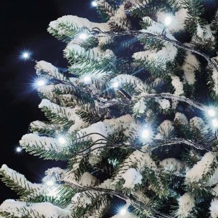 Guirnalda LED para exteriores 50xLED/5m IP44, blanco frío