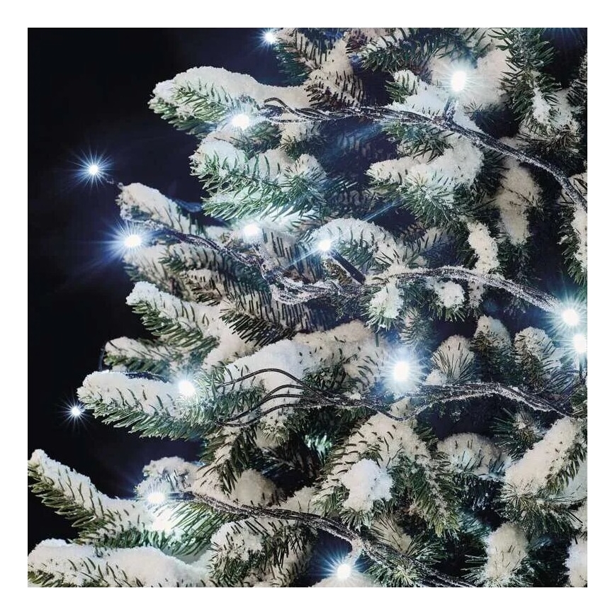 Guirnalda LED para exteriores 50xLED/5m IP44, blanco frío