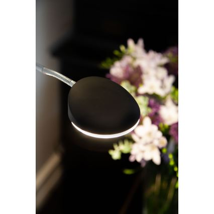 Halo Design 716067 - Lámpara de pie LED regulable VEGAS LED/20W/230V + LED/5W negro/cromo brillante