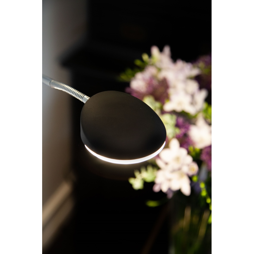 Halo Design 716067 - Lámpara de pie LED regulable VEGAS LED/20W/230V + LED/5W negro/cromo brillante