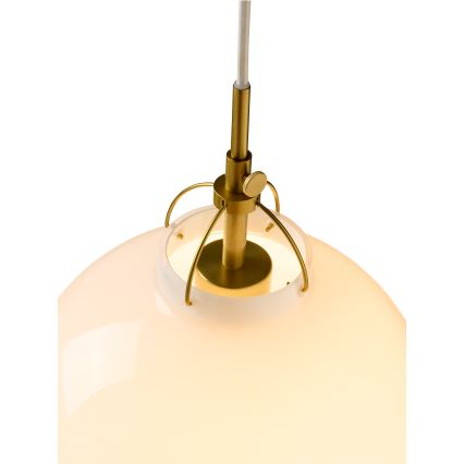 Halo Design 747924 - Lámpara colgante con cable TOSCANA 1xG9/28W/230V Ø 18 cm crema/latón
