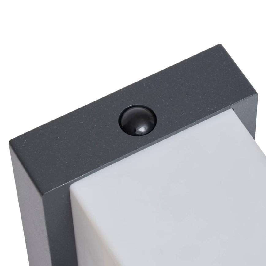 Hesperide - Aplique solar LED de pared con sensor de movimiento MULTY LED/3,7V 2600 mAh IP65 antracita