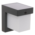 Hesperide - Aplique solar LED de pared con sensor de movimiento MULTY LED/3,7V 2600 mAh IP65 antracita