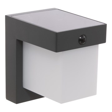 Hesperide - Aplique solar LED de pared con sensor de movimiento MULTY LED/3,7V 2600 mAh IP65 antracita