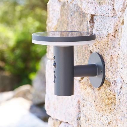 Hesperide - Lámpara solar LED de pared con sensor de movimiento DETEKT LED/3,7V 2600 mAh IP65