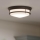 Hinkley - Luminaria de techo para baño HADLEY 3xE27/40W/230V IP44, acabado en bronce