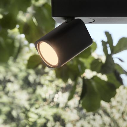 Ideal Lux - Foco LED RUDY 4xGU10/7W/230V CRI 90 negro