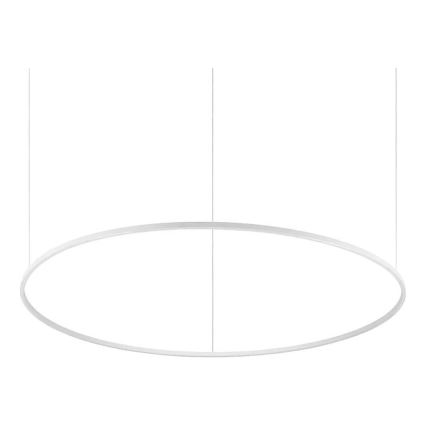 Ideal Lux - Lámpara colgante con cable ORACLE SLIM LED/83W/230V 3000K CRI 90 Ø 150 cm blanca