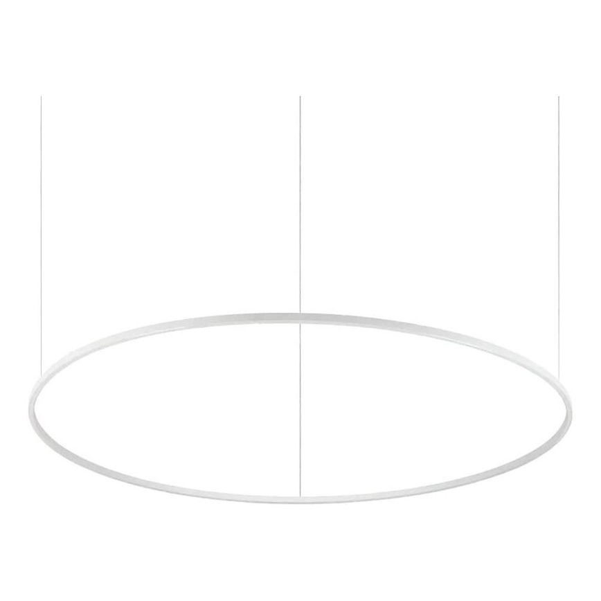 Ideal Lux - Lámpara colgante con cable ORACLE SLIM LED/83W/230V 3000K CRI 90 Ø 150 cm blanca