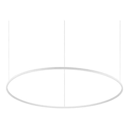 Ideal Lux - Lámpara colgante LED regulable suspendida en cable ORACLE SLIM LED/77W/230V 3000K CRI 90 Ø 150 cm blanca
