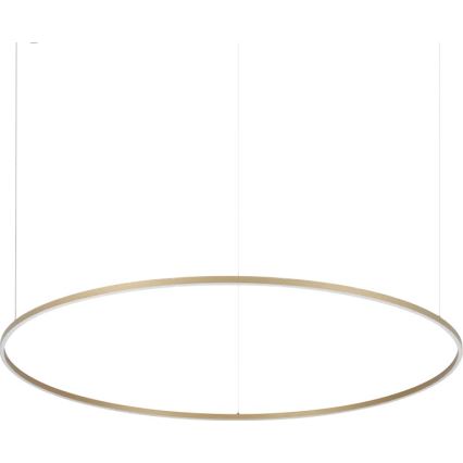 Ideal Lux - Lámpara colgante con cable ORACLE SLIM LED/81W/230V 3000K CRI 90 diámetro 150 cm color dorado