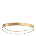 Ideal Lux - Lámpara colgante LED en cable GEMINI LED/36W/230V 2700K diám. 42,5 cm CRI 90 latón