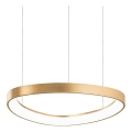 Ideal Lux - Lámpara colgante LED en cable GEMINI LED/36W/230V 4000K Ø 42,5 cm CRI 90 latón