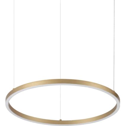 Ideal Lux - Lámpara colgante LED con cable ORACLE SLIM LED/29W/230V 3000K IRC 90 Ø 50 cm dorado