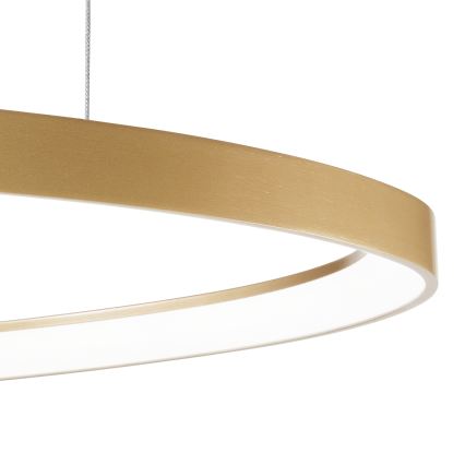 Ideal Lux - Lámpara de araña LED regulable GEMINI LED/48W/230V diá. 61 cm CRI 90 dorado