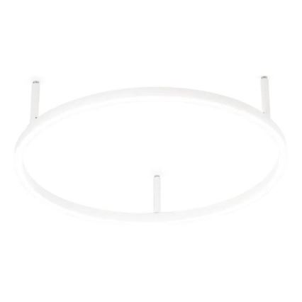 Ideal Lux - Luminaria de techo ORACLE SLIM LED/29W/230V 4000K CRI 90 Ø 50 cm blanca