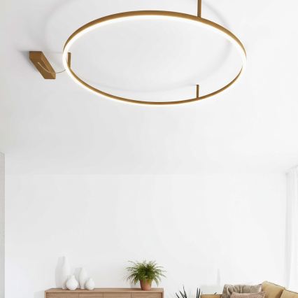 Ideal Lux - Lámpara de techo LED ORACLE SLIM LED/37W/230V 4000K CRI 90 diámetro 70 cm color dorado