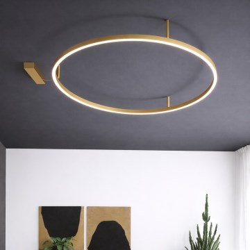 Ideal Lux - Lámpara de techo LED ORACLE SLIM LED/81W/230V 3000K IRC 90 Ø 150 cm dorada