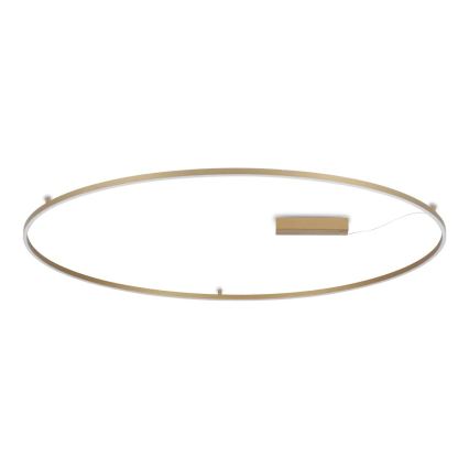 Ideal Lux - Lámpara de techo LED ORACLE SLIM LED/81W/230V 3000K IRC 90 Ø 150 cm dorada