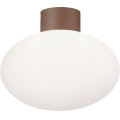 Ideal Lux - Lámpara de techo para exterior CLIO 1xE27/42W/230V IP44 marrón