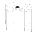 Ideal Lux - Lámpara LED colgante con cable LUCCIOLA 16xLED/16W/230V IRC 90 araña negra