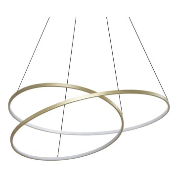 Ideal Lux - Lámpara LED colgante con cable OZ LED/75W/230V Ø 100 cm CRI 90 dorada