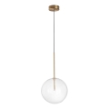 Ideal Lux - Lámpara LED colgante EQUINOXE 1xG4/2W/230V diá. 25 cm latón/transparente