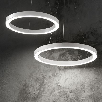Ideal Lux - Lámpara LED colgante ORACLE LED/28W/230V 3000K diá. 50 cm CRI 90 blanco