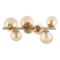 Ideal Lux - Lámpara LED de techo de montaje en superficie PERLAGE 6xG9/3W/230V 49 cm dorada/beige ahumado