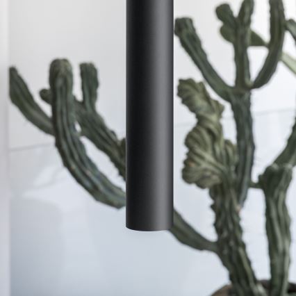 Ideal Lux - Lámpara LED suspendida en cable LOOK 1xGU10/7W/230V CRI 90 diám. 6 cm negra