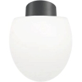 Ideal Lux - Luminaria de techo exterior CLIO 1xE27/42W/230V IP44 antracita