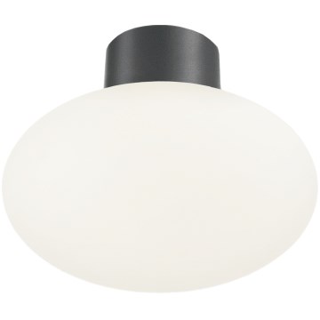 Ideal Lux - Luminaria de techo exterior CLIO 1xE27/42W/230V IP44 antracita