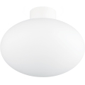 Ideal Lux - Luminaria de techo exterior CLIO 1xE27/42W/230V IP44 blanca
