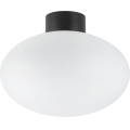 Ideal Lux - Luminaria de techo para exterior CLIO 1xE27/42W/230V IP44 negra