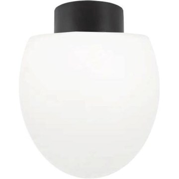 Ideal Lux - Luminaria de techo para exterior CLIO 1xE27/42W/230V IP44 negra