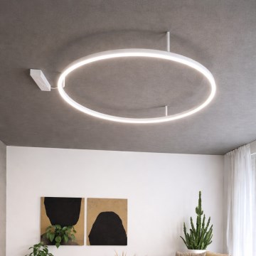Ideal Lux - Luminaria LED de techo ORACLE SLIM LED/37W/230V 4000K CRI 90 Ø 70 cm blanca