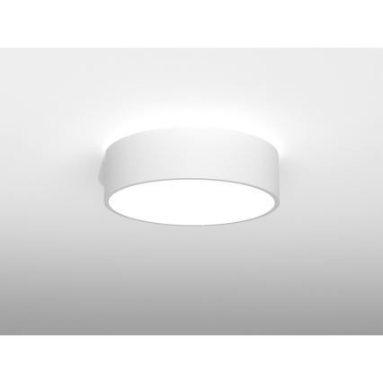 Immax NEO RONDATE - LED Plafón a control remoto LED/25W/230V