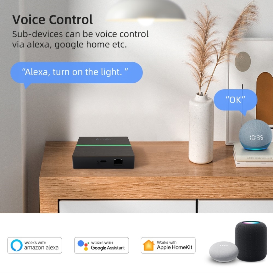 Immax NEO 07117-5 - Puente MATTER inteligente Zigbee 3.0 230V Tuya Wi-Fi