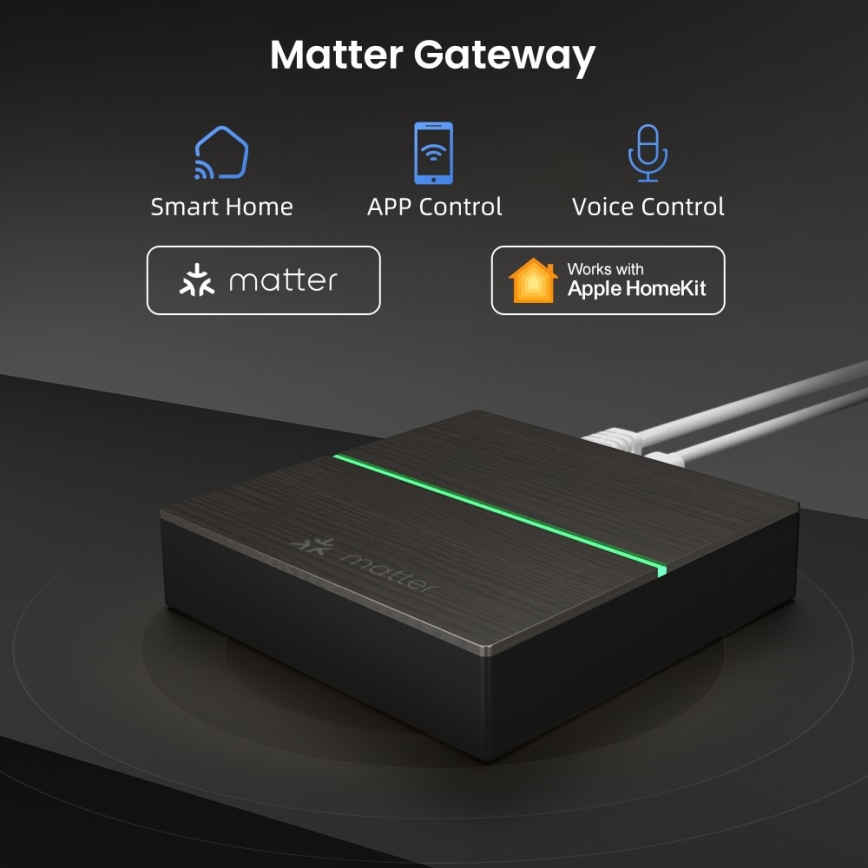 Immax NEO 07117-5 - Puente MATTER inteligente Zigbee 3.0 230V Wi-Fi