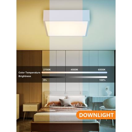 Immax NEO 07238L - Plafón LED regulable CANTO LED/22W/230V blanco Tuya + mando a distancia