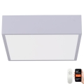 Immax NEO 07238L - Plafón LED regulable CANTO LED/22W/230V blanco Tuya + mando a distancia
