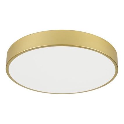 Immax NEO 07292L - Luminaria de techo LED regulable NEO LITE SEMPLICI LED/36W/230V 3000–6000K, Ø 40 cm, Wi‑Fi Tuya, color dorado + mando a distancia