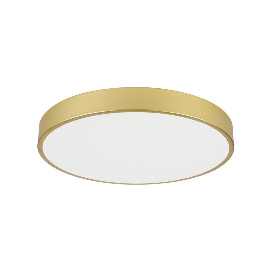Immax NEO 07293L - Luminaria de techo LED regulable NEO LITE SEMPLICI LED/60W/230V 3000–6000K Ø 60 cm Wi‑Fi Tuya dorada + mando a distancia