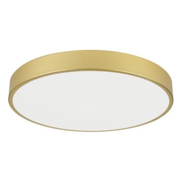 Immax NEO 07293L - Luminaria de techo LED regulable NEO LITE SEMPLICI LED/60W/230V 3000–6000K Ø 60 cm Wi‑Fi Tuya dorada + mando a distancia