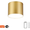 Immax NEO 07317L - Luminaria de techo LED regulable RONDATE LED/18W/230V Ø 11,5 cm Wi-Fi Tuya dorada