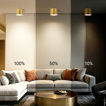 Immax NEO 07318L - Luminaria de techo LED regulable RONDATE LED/32W/230V diámetro 16,5 cm Wi-Fi Tuya color oro