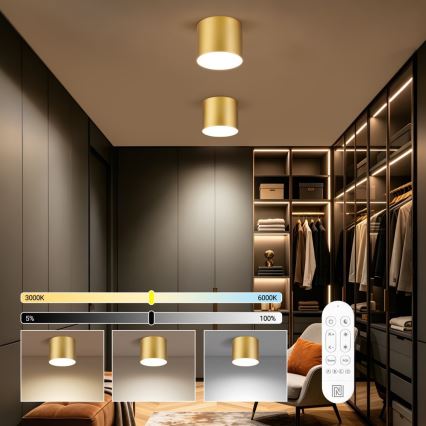 Immax NEO 07318L - Luminaria de techo LED regulable RONDATE LED/32W/230V diámetro 16,5 cm Wi-Fi Tuya color oro